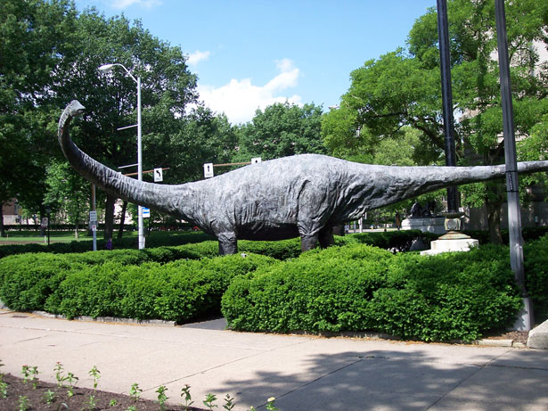diplodocus-carnegii