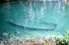 Boat_3
