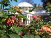 Jefferson's Own Poplar Forest