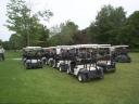 Need a Golf Cart?