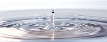 What is the Water Quality at Smith Mountain Lake?