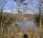 Smith Mountain Lake Real Estate