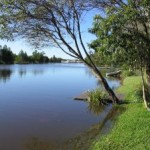 Lake Effects The Movie