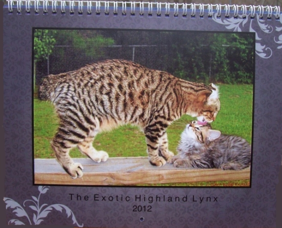 2012 Calendar for Cat Lovers at Smith Mountain Lake