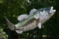 Smith Mountain Lake Records