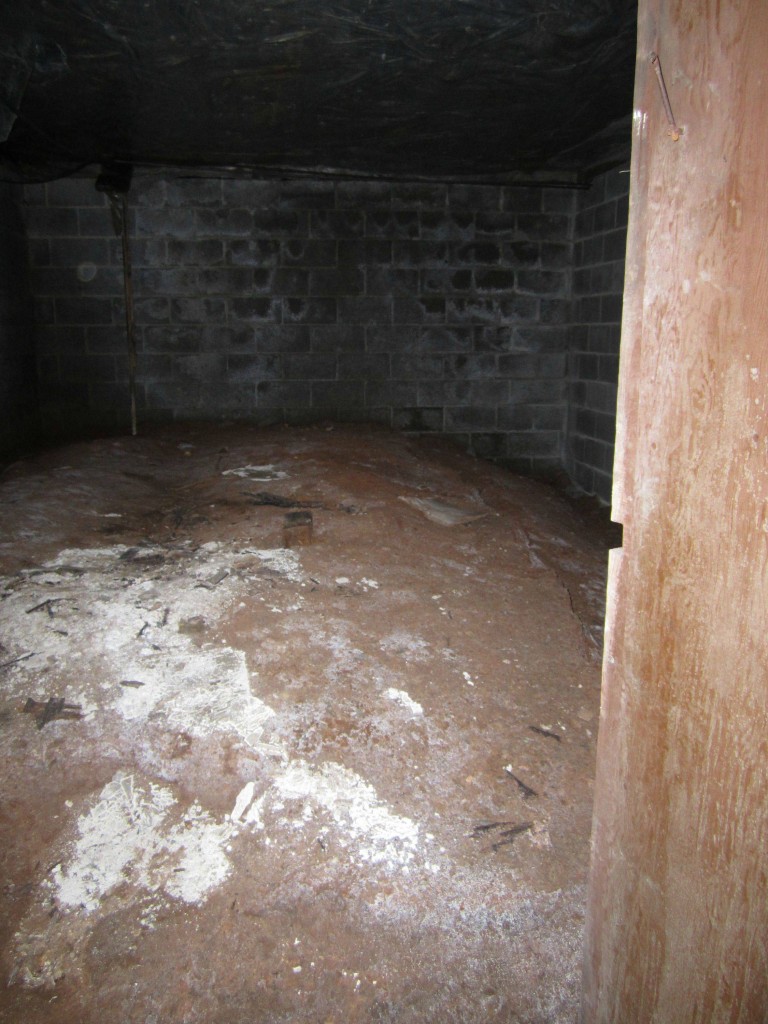 Mold Growth In Homes