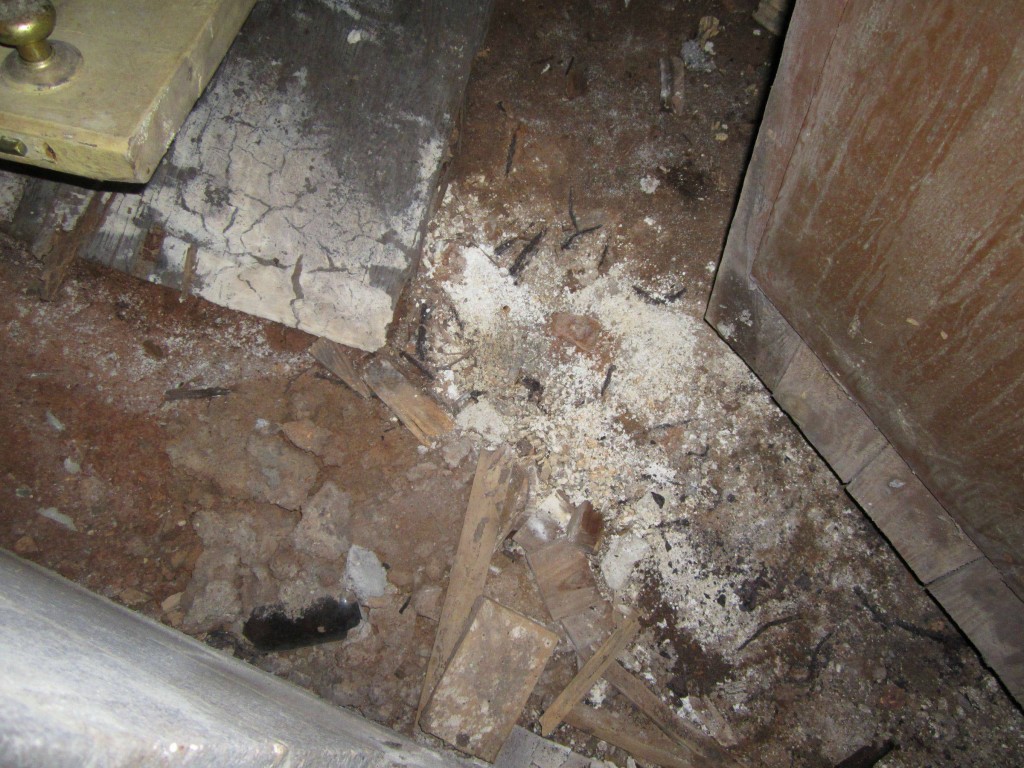 Home Mold Problems