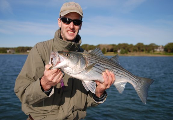 Game Fish of Smith Mountain Lake