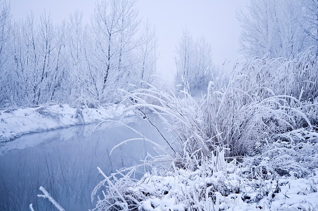 The Magic of Snow