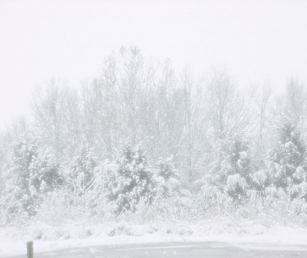 The Magic of Snow